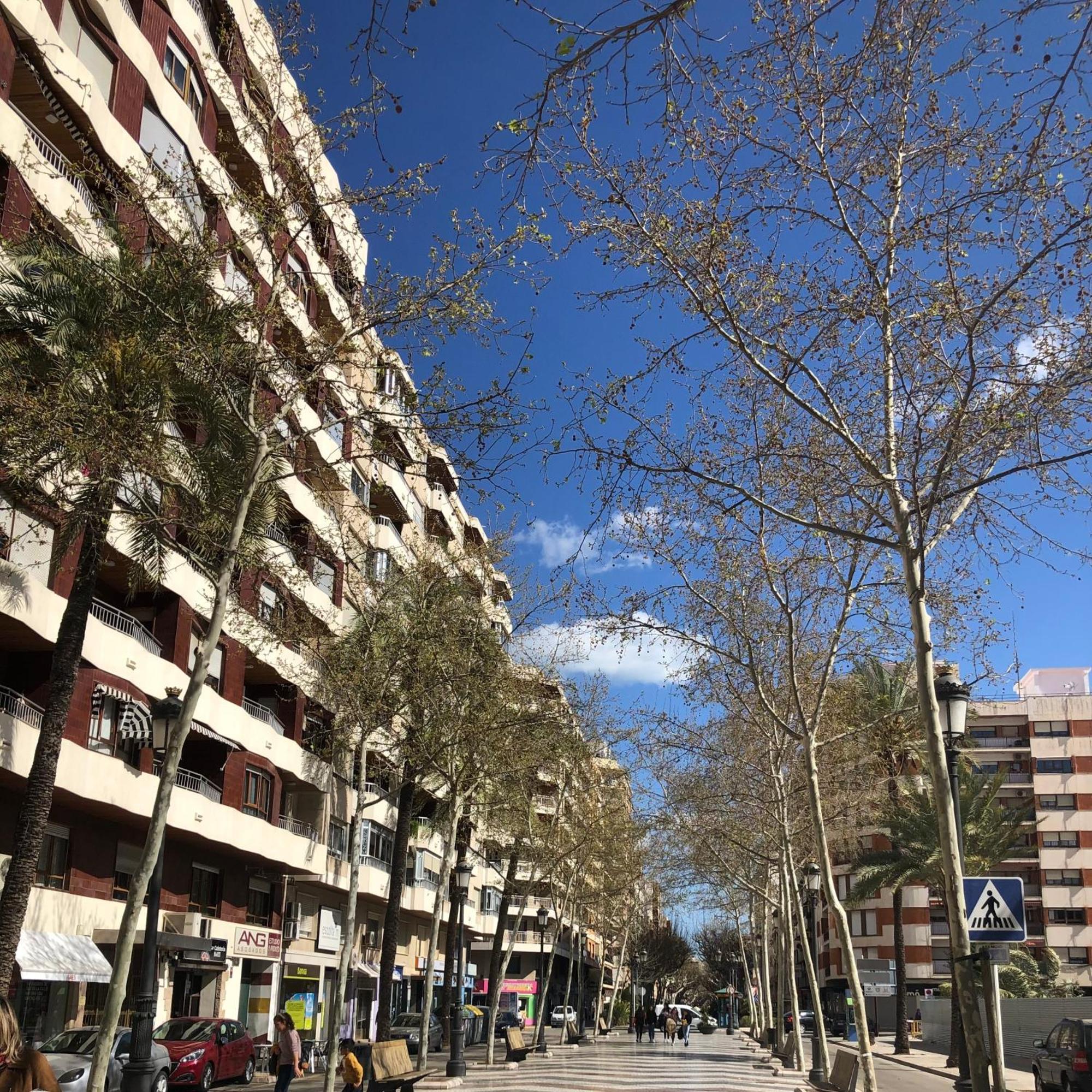 Habitaciones En Gandia A 5 Min Del Centro Historico Екстериор снимка